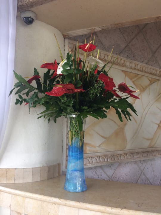 Lobby BelleVue Dominican Bay