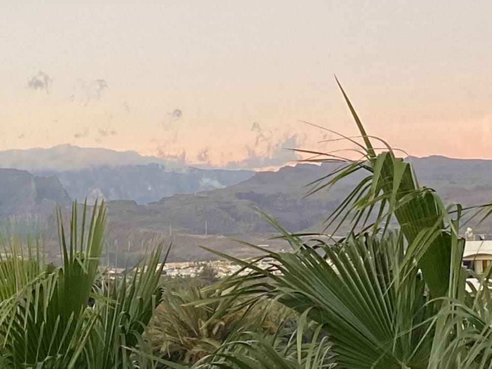 Ausblick Hotel Riu Palace Oasis