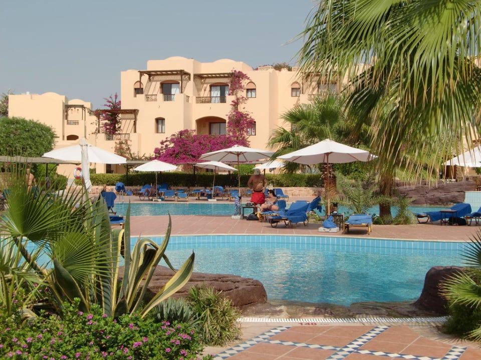 Blick zum Pool Steigenberger Coraya Beach - Adults only