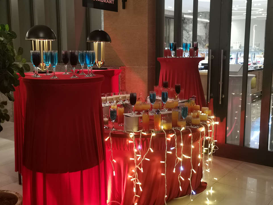 Gastro Seashell Vega