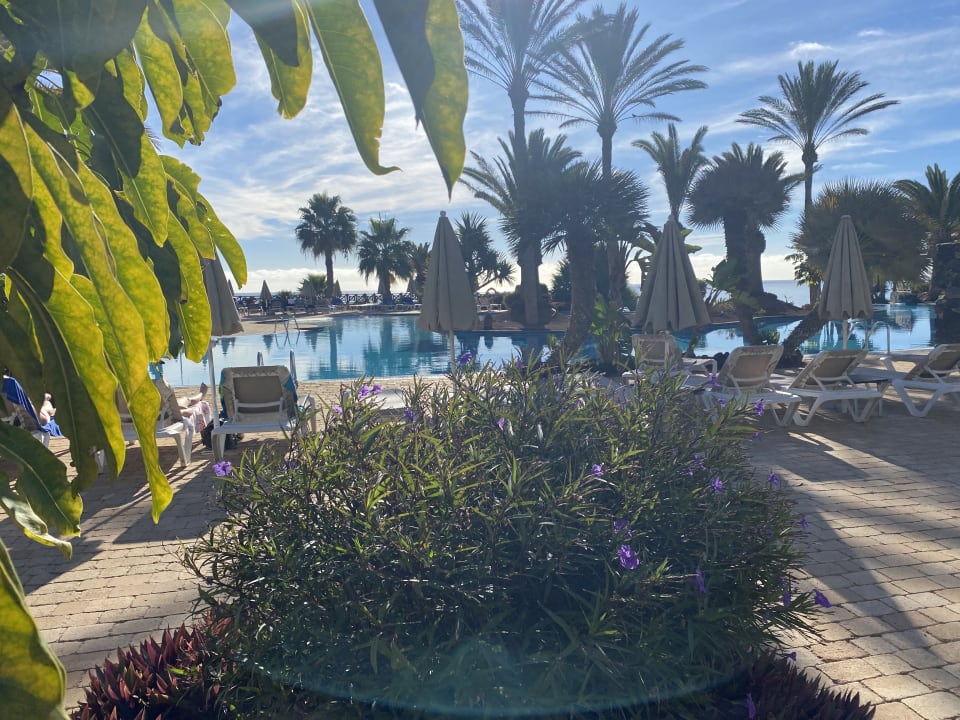 Pool R2 Pajara Beach