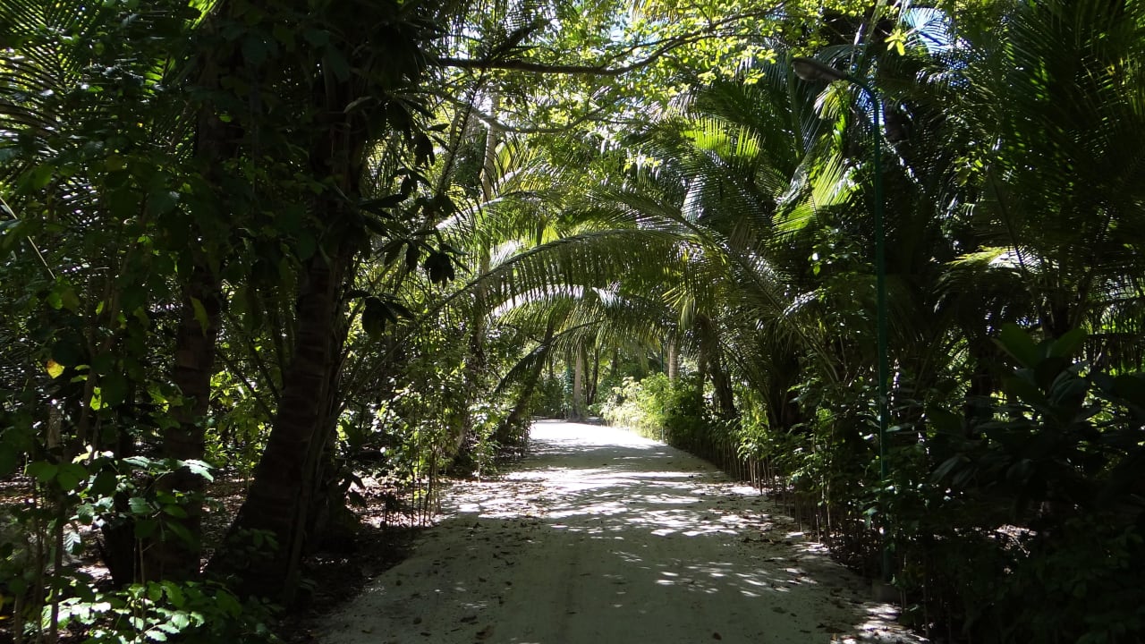 Der Weg zum Restaurant Meeru Maldives Resort Island