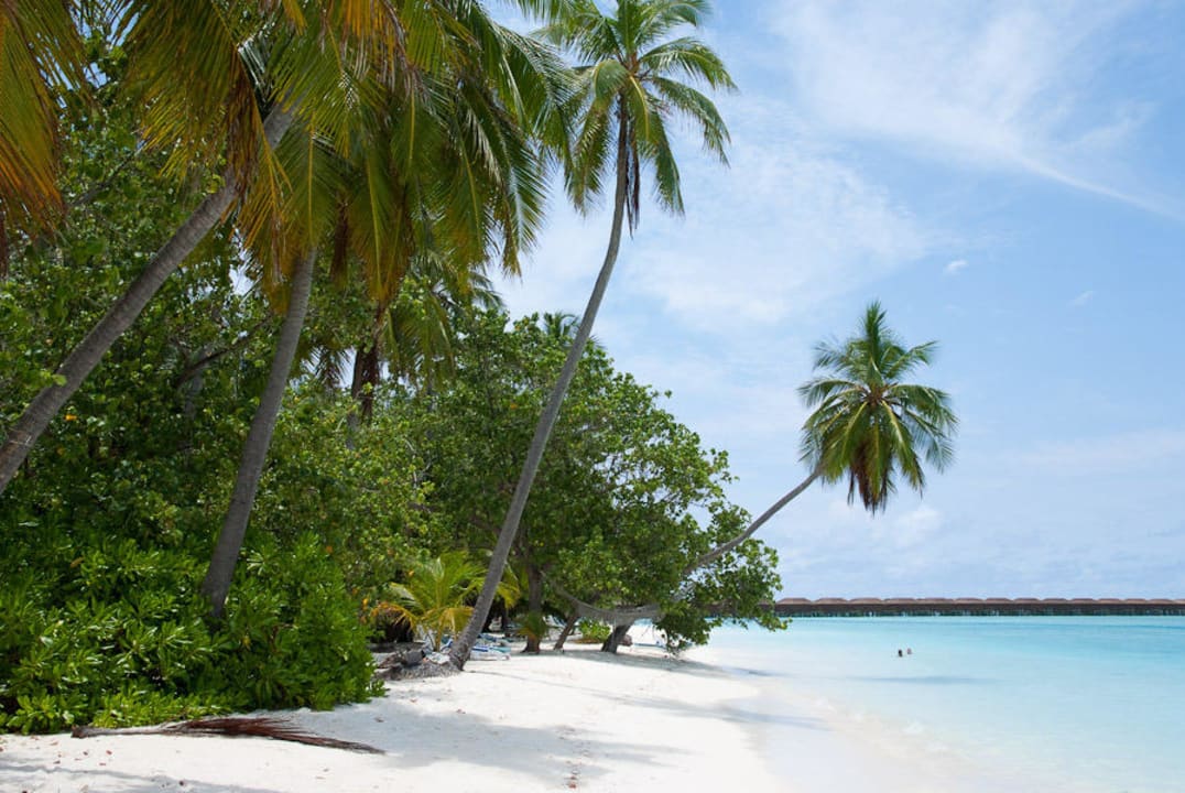 Hotelstrand Ostseite Meeru Maldives Resort Island