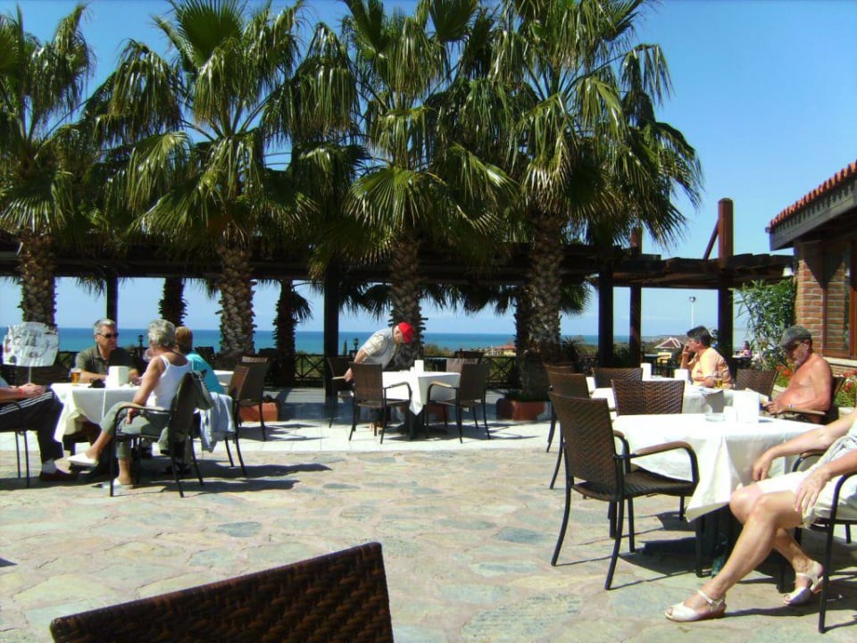 Poolbar Alba Resort Hotel