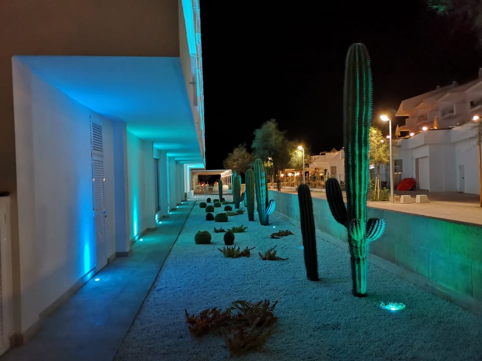 Außenansicht The Sea Hotel by Grupotel - Adults only