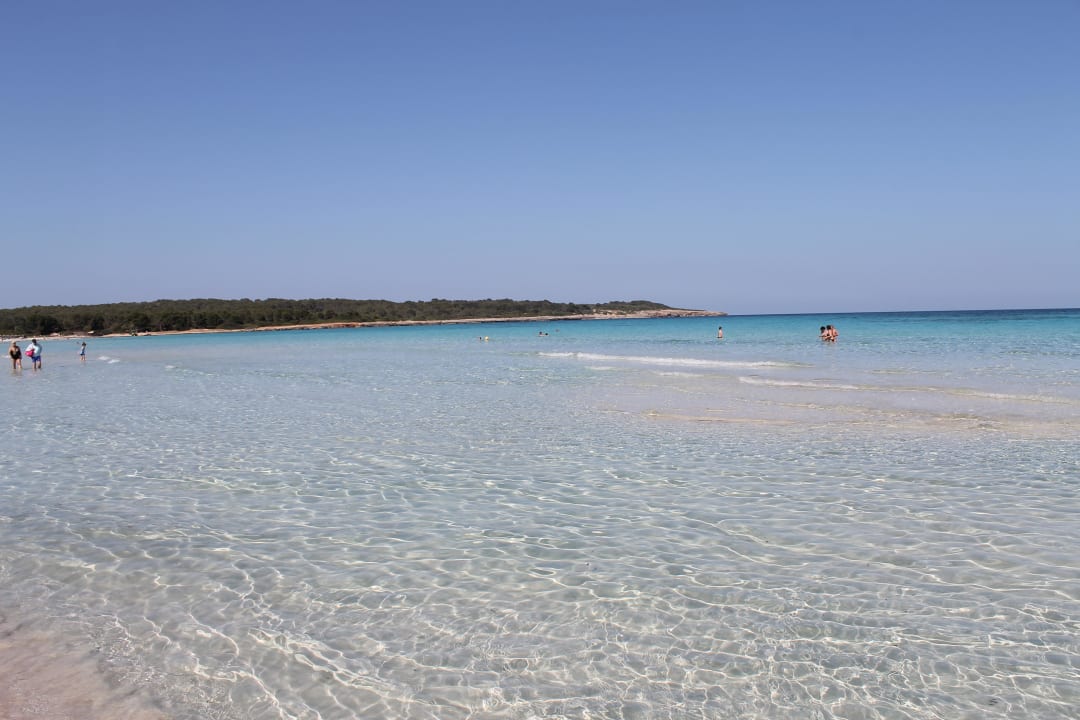 Wunderschöner Strand mit kristall klarem Wasser Hipotels Mediterraneo Club