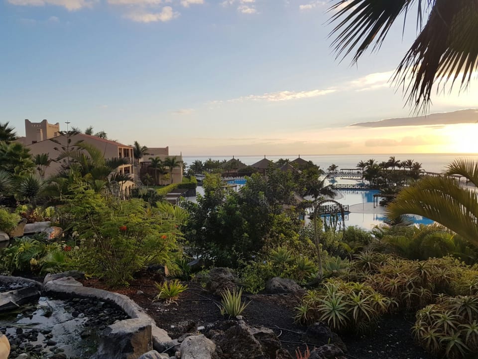 Gartenanlage La Palma Princess