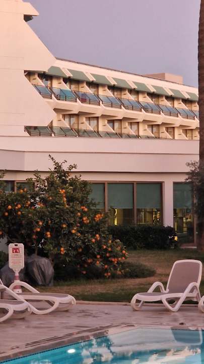 Pool Side Star Elegance