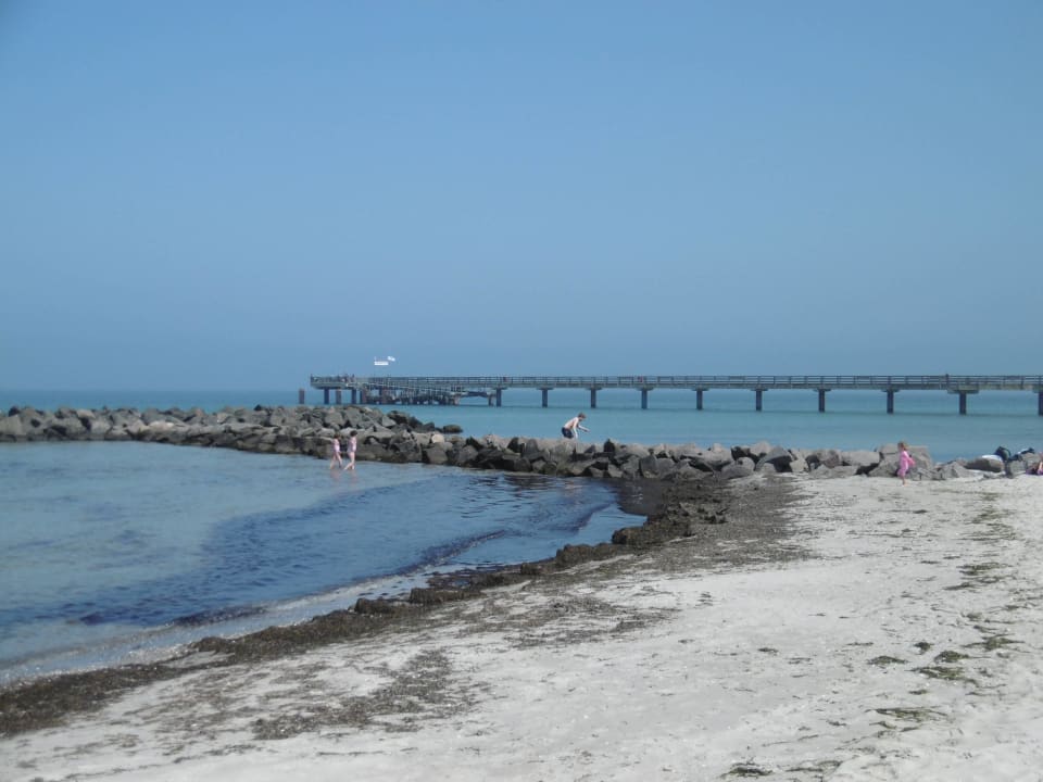 Blick Richtung Steg Ferienwohnug Axel Rase