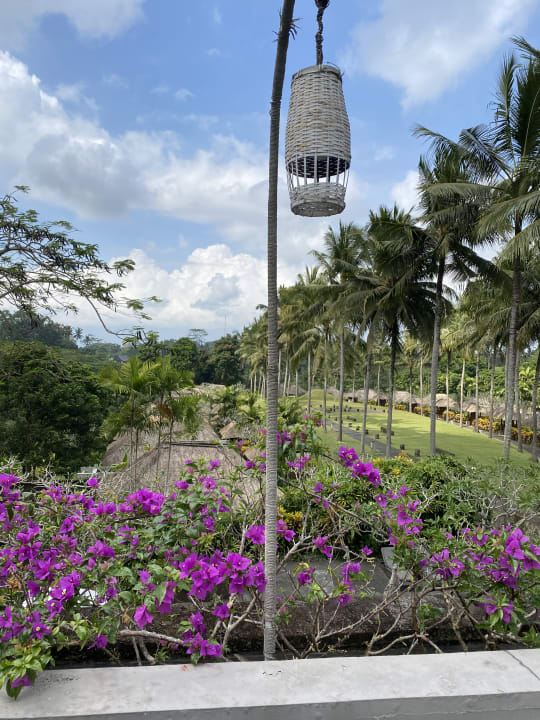 Gartenanlage Maya Ubud Resort & Spa Bali