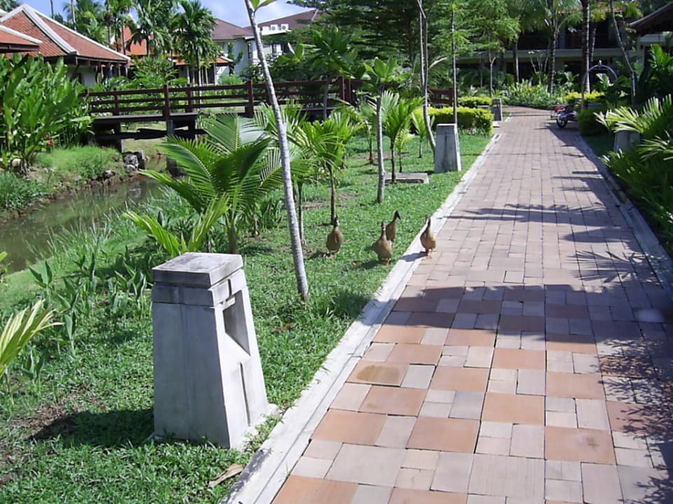 Weg vom Restaurant zum Bungalow Khaolak Laguna Resort