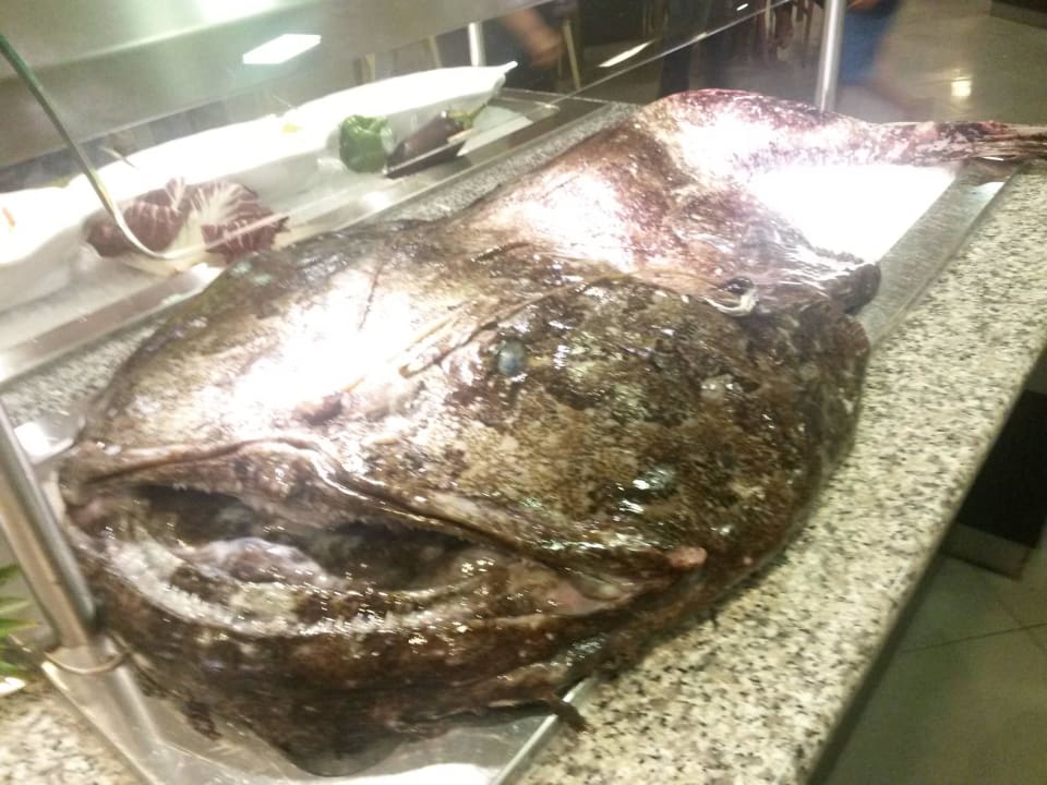 Fisch für Buffet am nächsten Abend Hotel Aurora