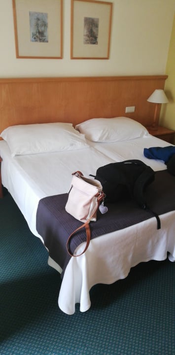 Zimmer Hotel Madeira Panoramico