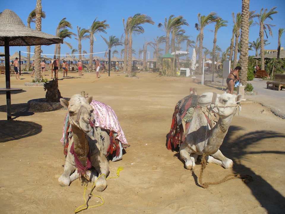 Саша и Серёжа Riviera Aqua Park Resort