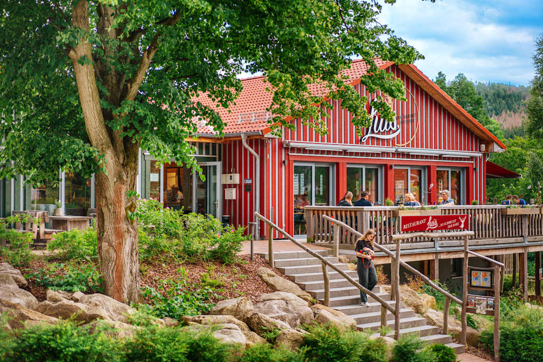 Gastro Das SCHIERKE Harzresort am Brocken
