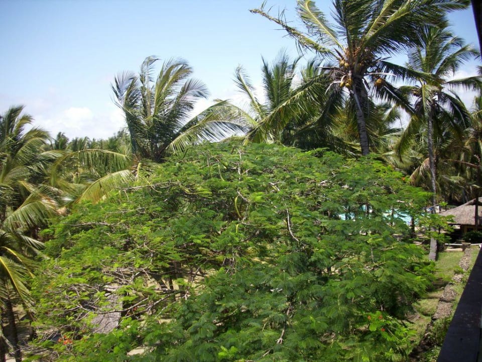 Blick Richtung Pool PrideInn Flamingo Beach Resort & Spa