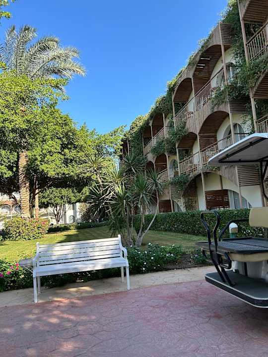 Außenansicht Desert Rose