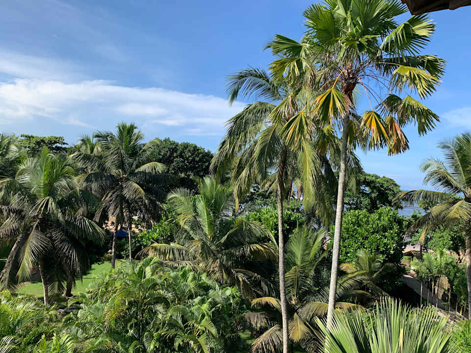 Ausblick Hotel Lanka Princess Ayurveda