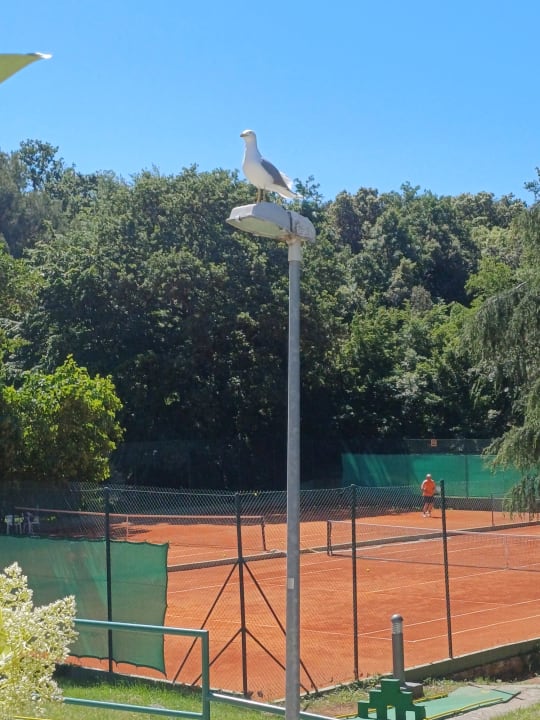 Sport & Freizeit Maistra Select Funtana All Inclusive Resort