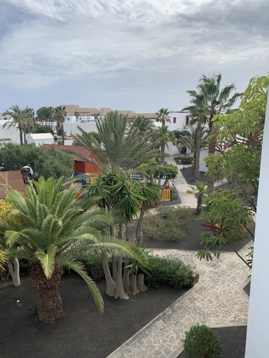 Gartenanlage allsun App.-Hotel Albatros