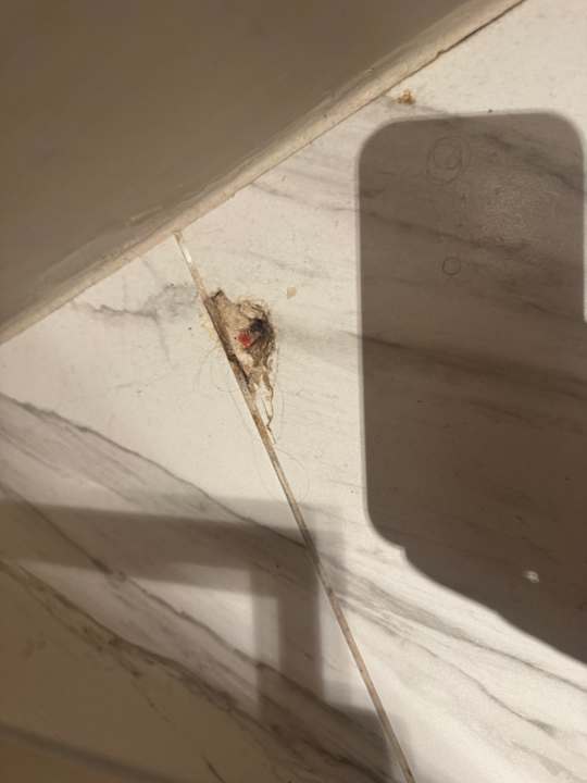 Zimmer Radisson Blu Palace Resort & Thalasso Djerba