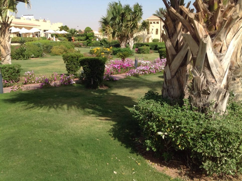 Wunderschöne Gartenansicht Cleopatra Luxury Resort Makadi Bay