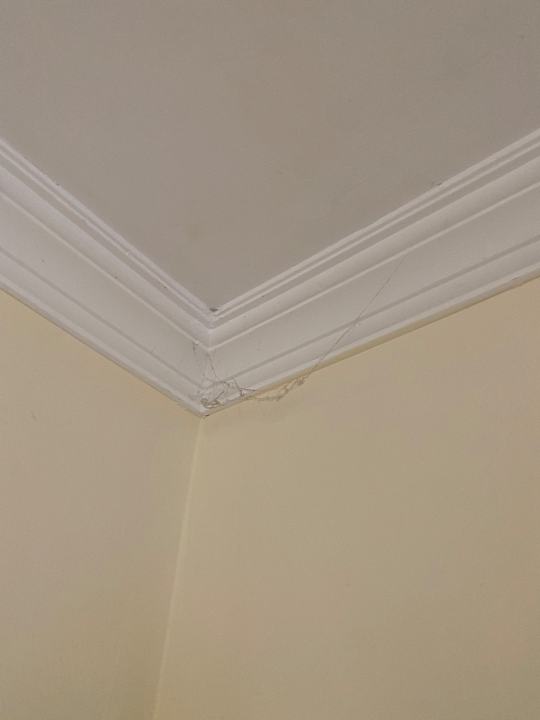 Zimmer Hotel Orfeus Park