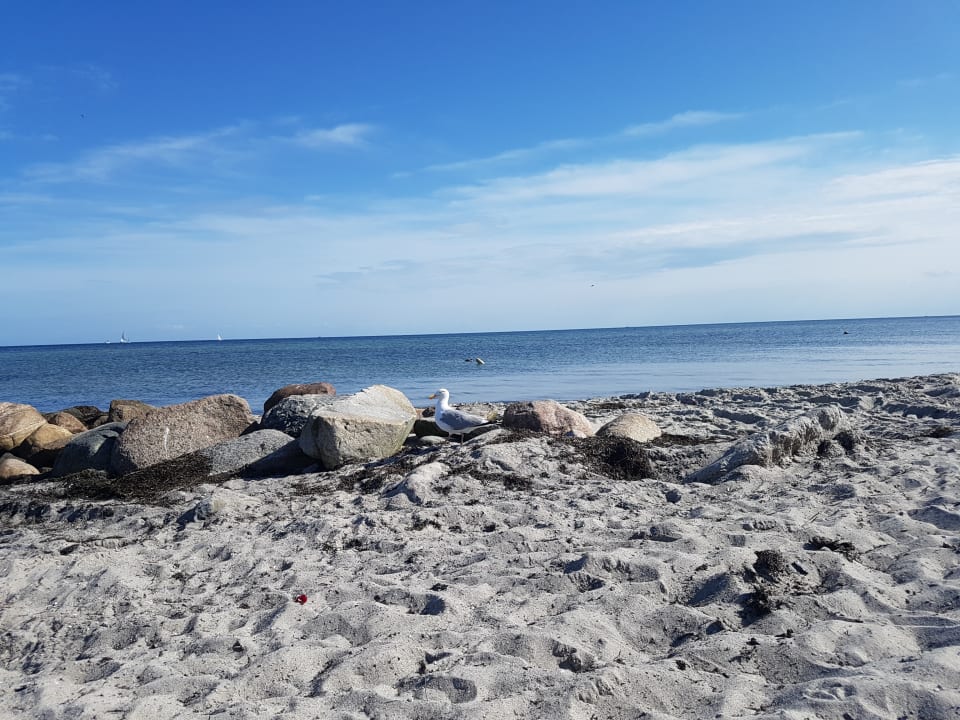 Strand Camping- und Ferienpark Wulfener Hals