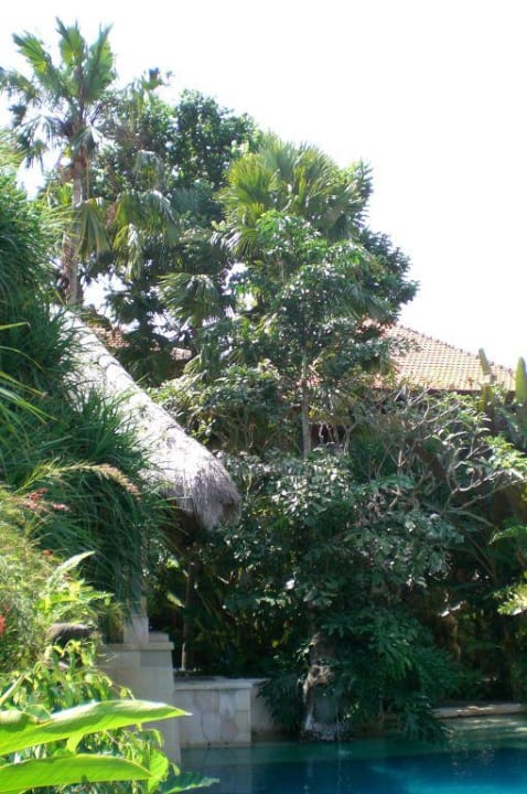 Clubbereich Puri Santrian