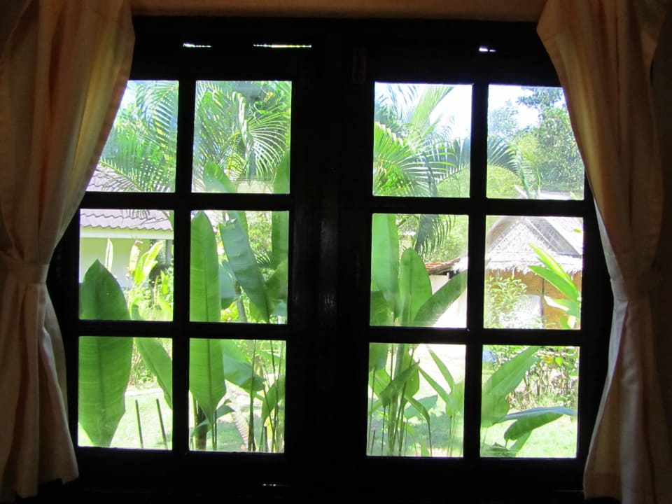 Hinten raus Blick zur Nachbar Anlage Palm Garden Resort