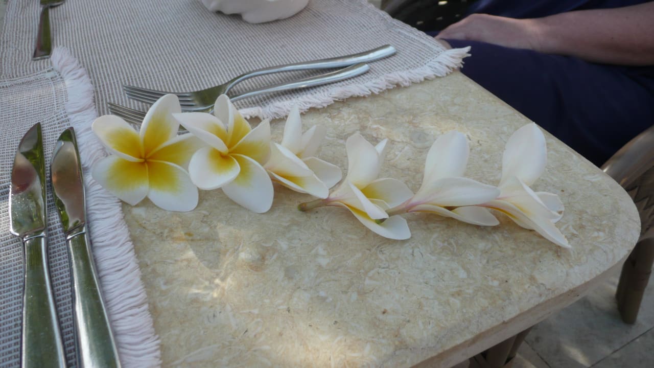 Tischschmuck zum Geburtstag Ghazala Gardens