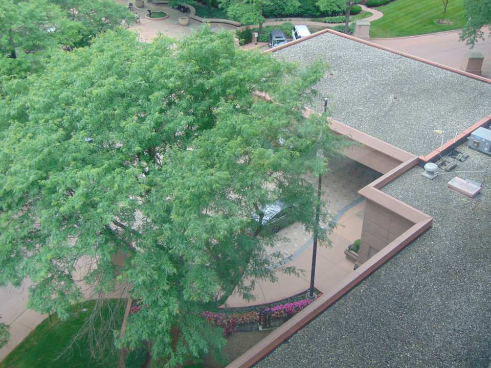 Ausblick Hotel The Henry