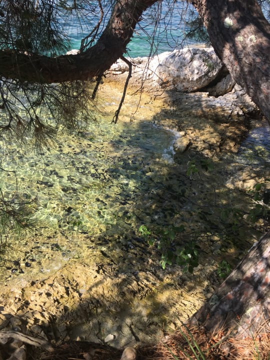 Strand Hotel Zorna Plava Laguna