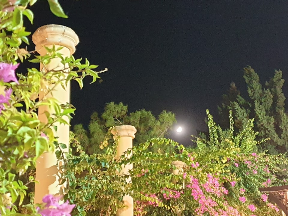 Gartenanlage Hotel Kalithea Horizon Royal