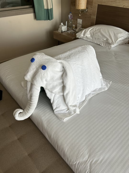 Zimmer Steigenberger Resort Ras Soma