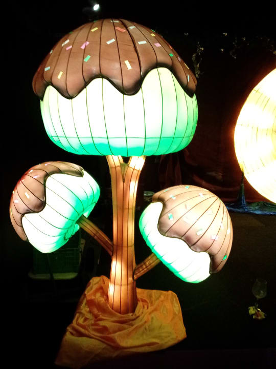Sonstiges Wunderland Kalkar