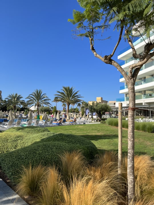 Gartenanlage Hipotels Gran Playa De Palma
