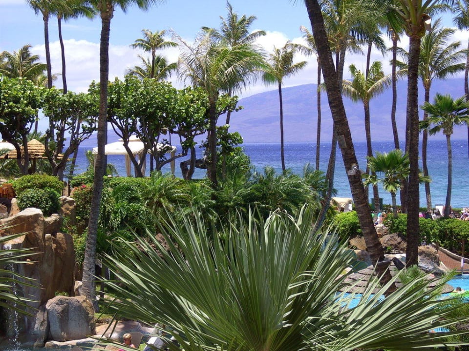 Pool The Westin Maui Resort & Spa
