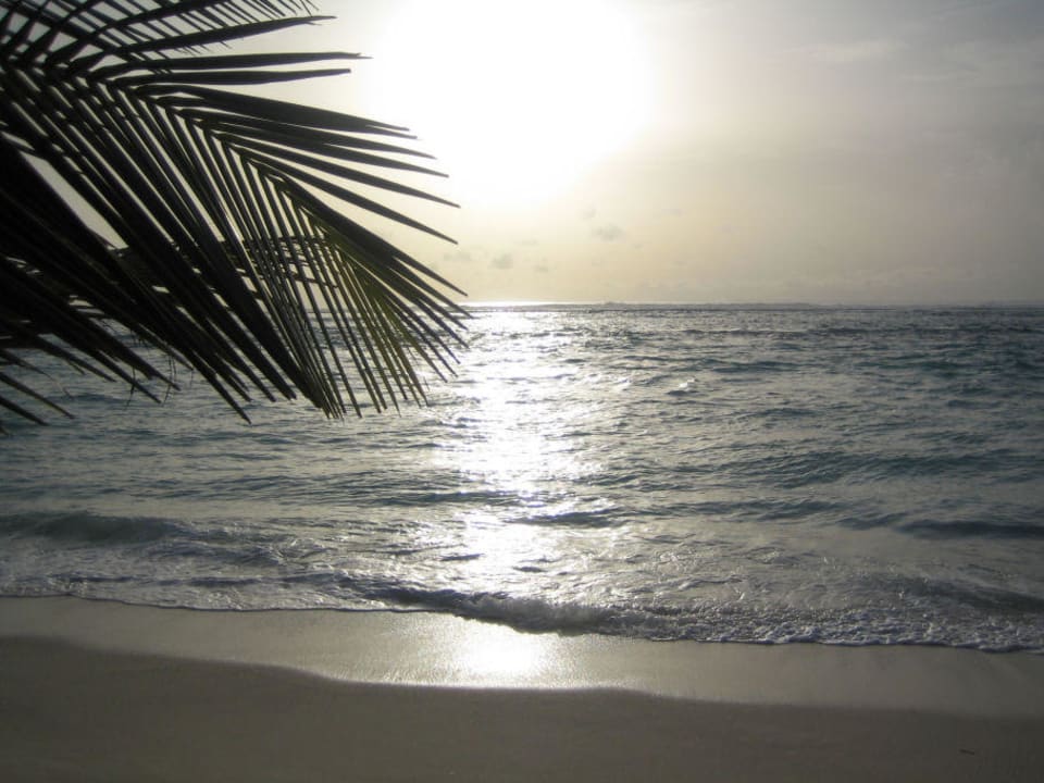 Traumhafter Blick gegen Abend Summer Island Maldives