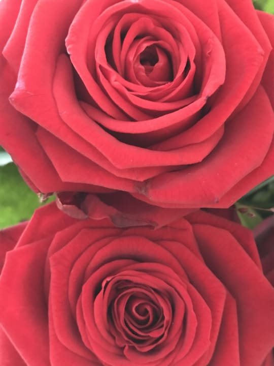 Gartenanlage Dorfhotel Fasching