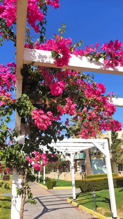 Gartenanlage Lindos Princess Beach Resort & Spa