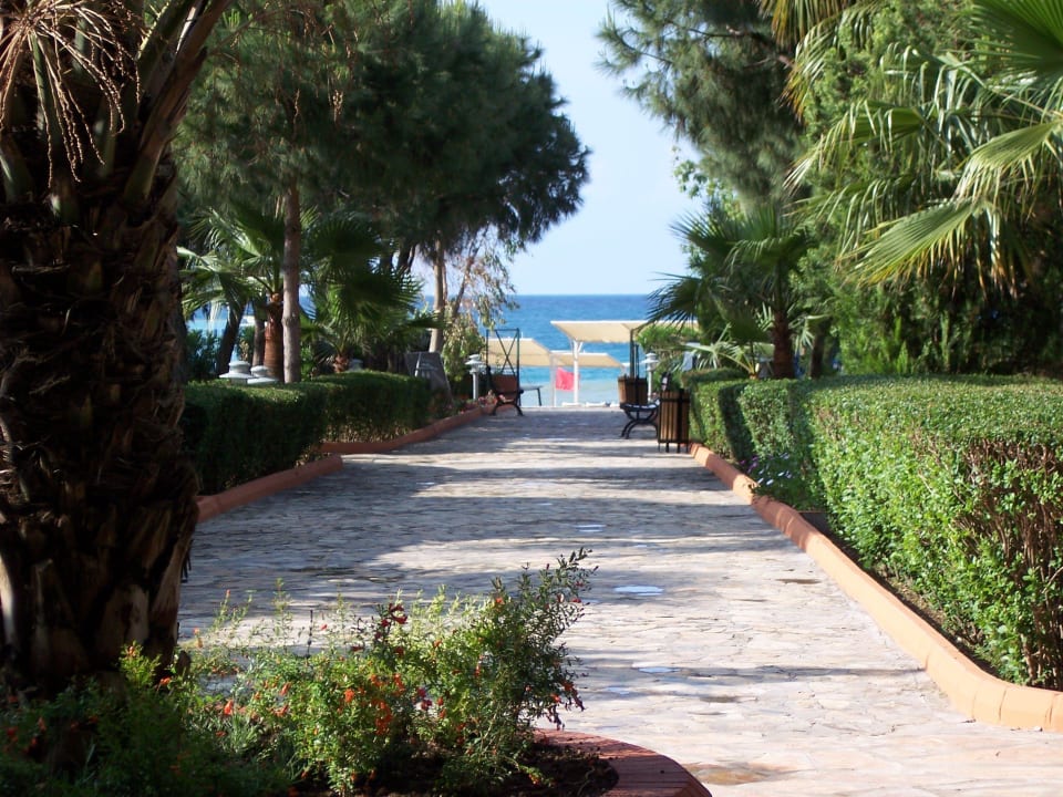 Weg zum Strand Club Turtas Beach Hotel