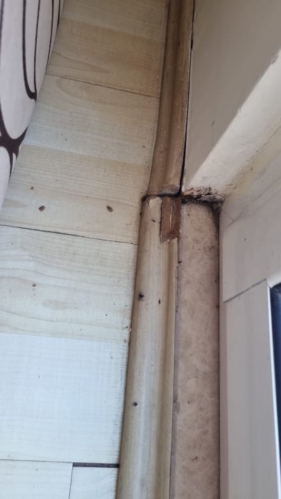 Zimmer Hotel Orfeus Park