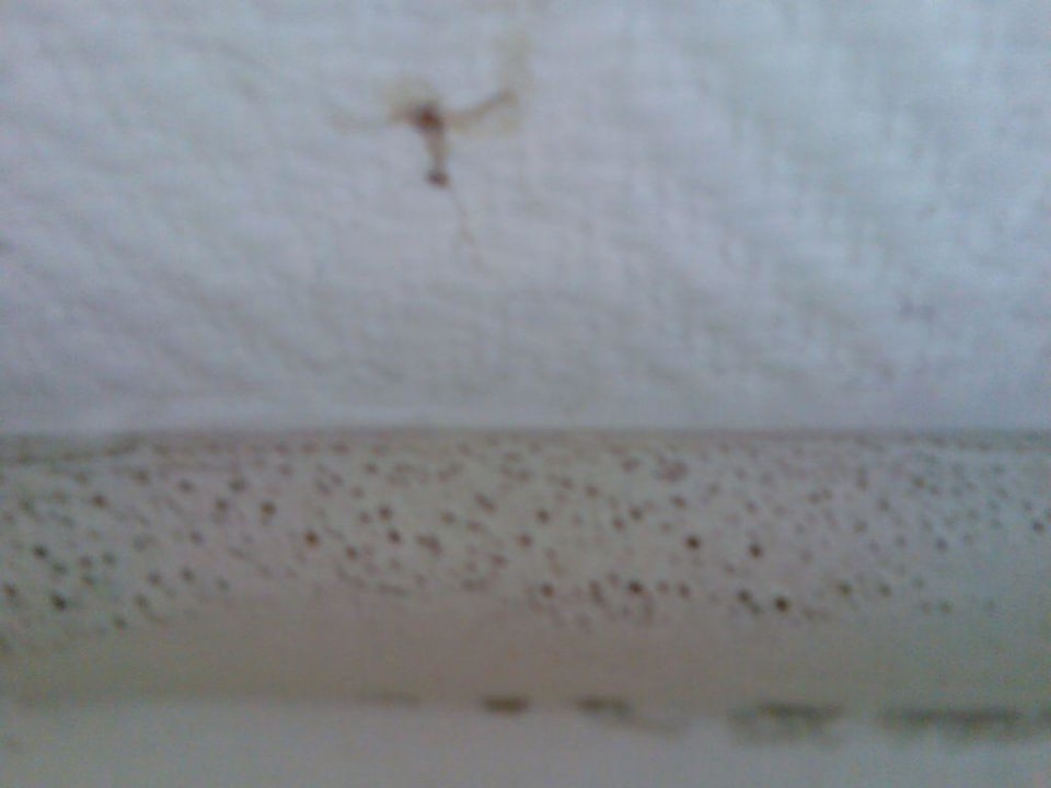 Fensterramen Hotel Schöne Aussicht