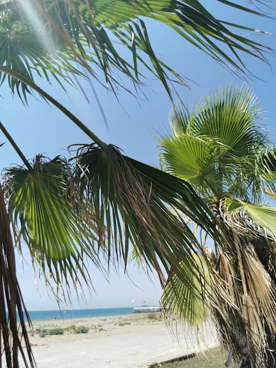 Strand Grand Soho Apartment