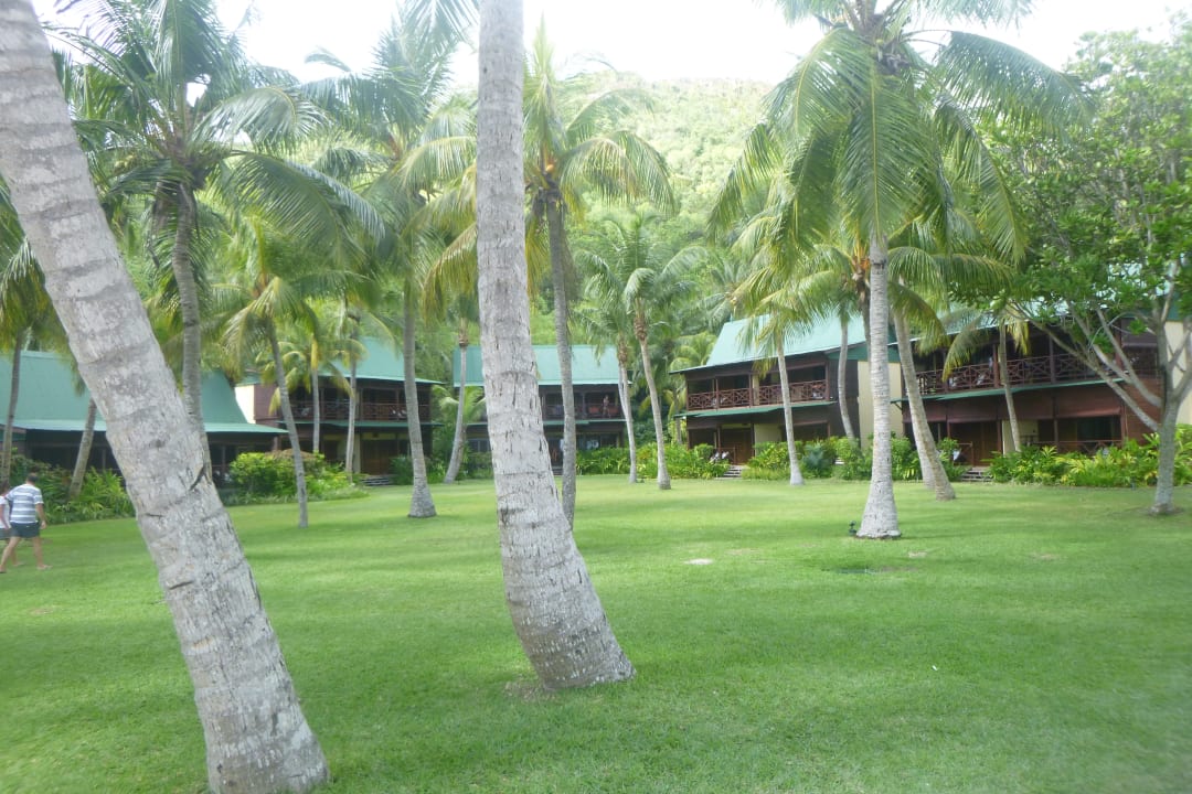 Gartenanlage Paradise Sun