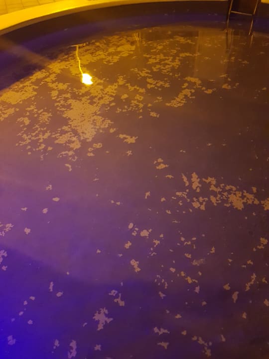 Pool Melia La Palma Hotel