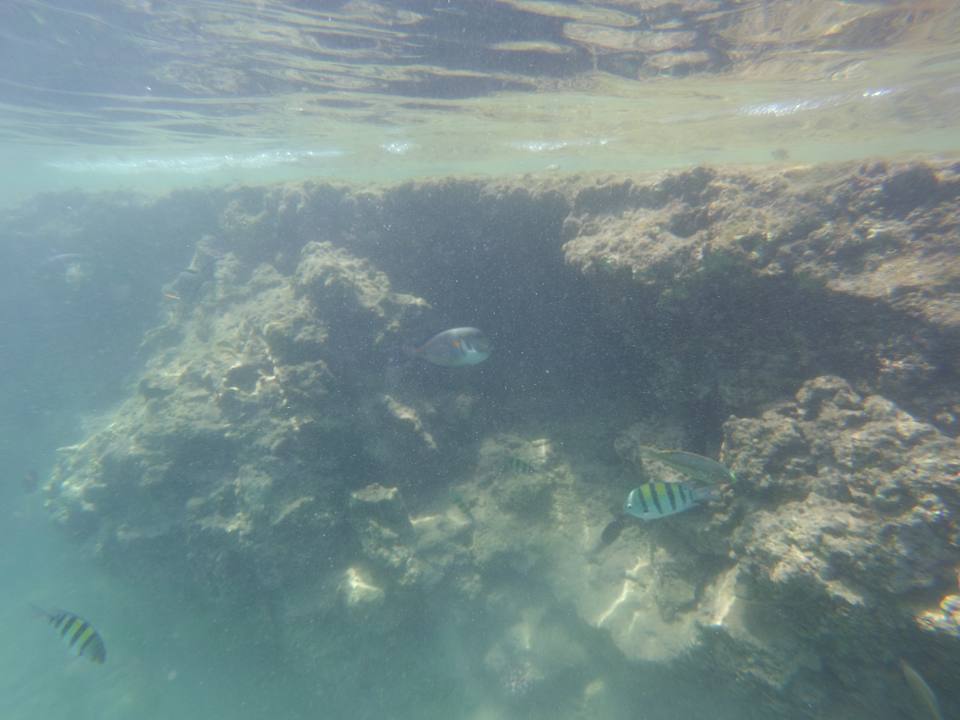 Strand Pickalbatros Citadel Resort