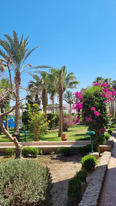 Gartenanlage Arabia Azur Resort