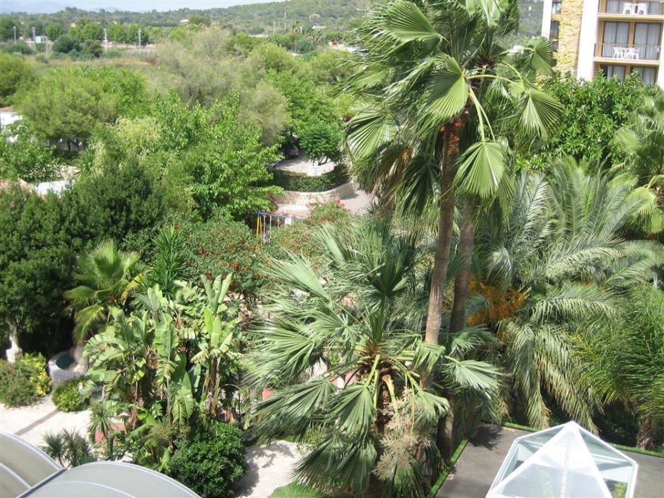 Ausblick vom Balkon Bahía de Alcúdia Hotel & Spa